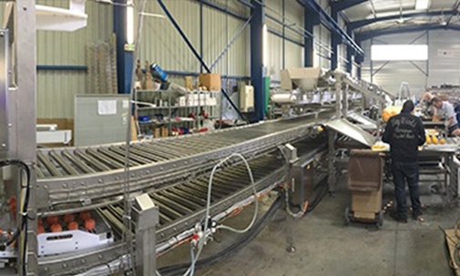 Línea de producción automatizada a medida con máquina CNC - industria alimentaria